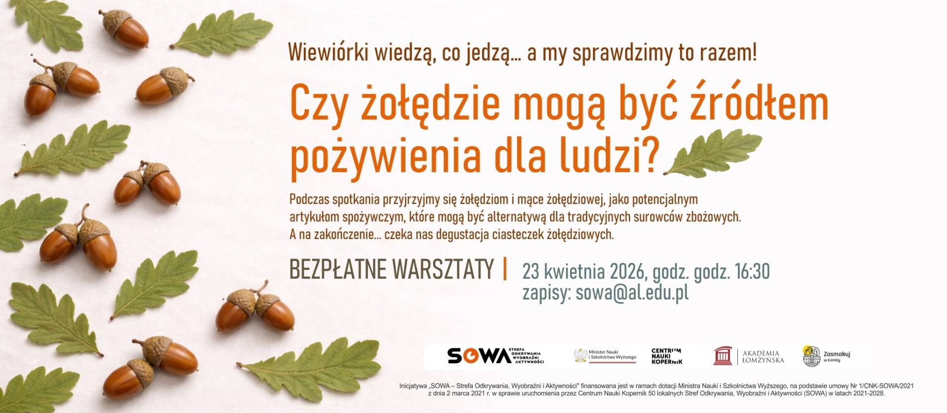  „Plakat warsztatów edukacyjnych poświęconych żołędziom jako potencjalnemu źródłu żywności, z datą 23 kwietnia 2026 oraz ilustracją żołędzi i liści dębu