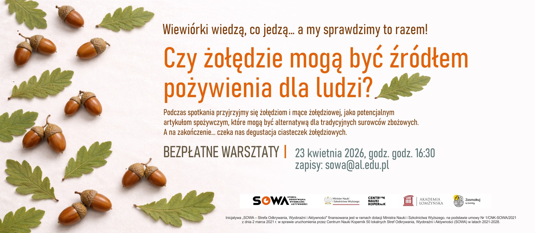 czy żołędzie mogą być źródłem pożywienia dla ludzi?