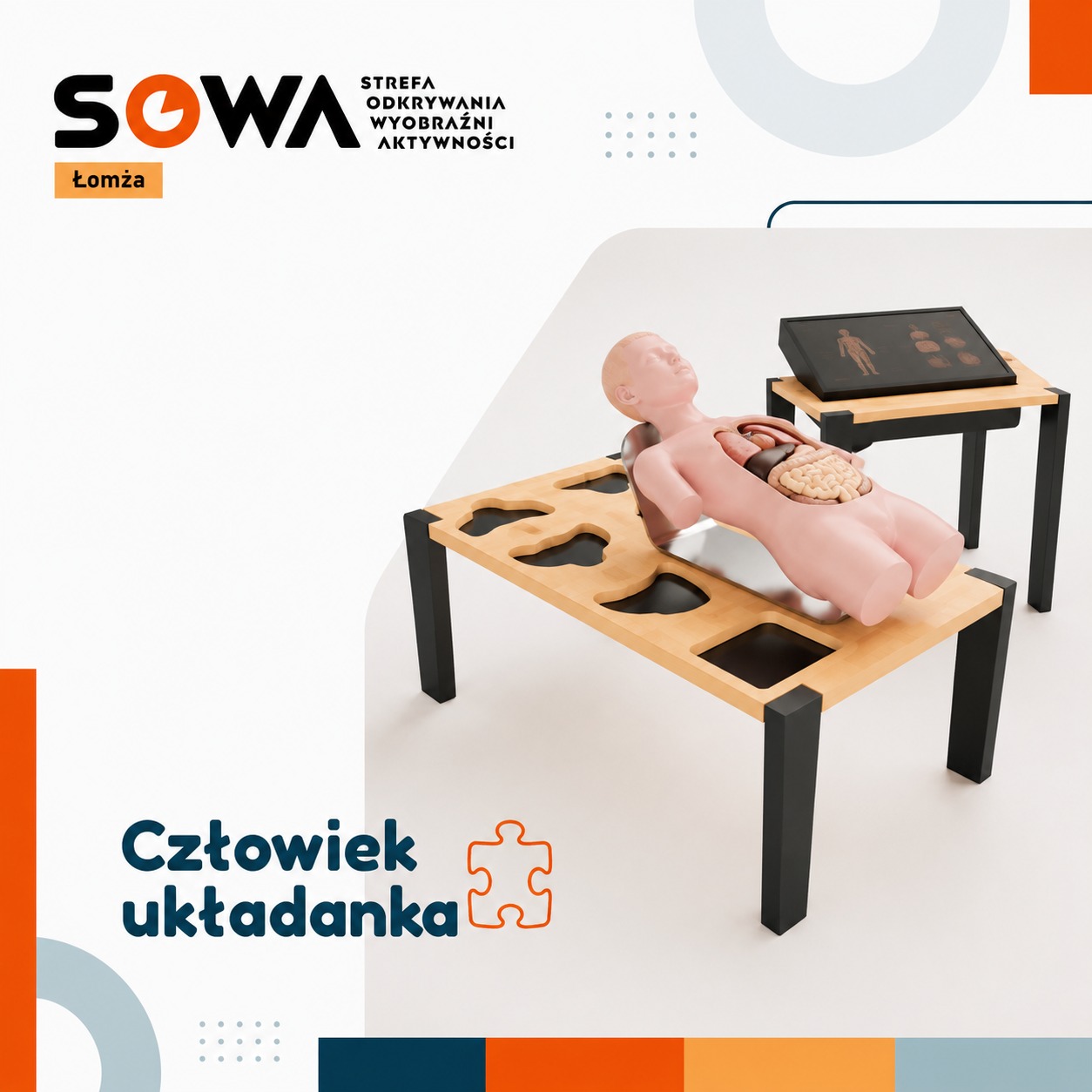 Nowe eksponaty już wkrótce w Strefie SOWA.